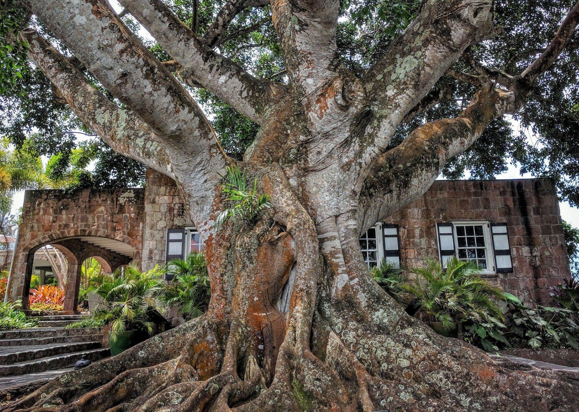 Montpelier Plantation & Beach Charlestown Exterior photo