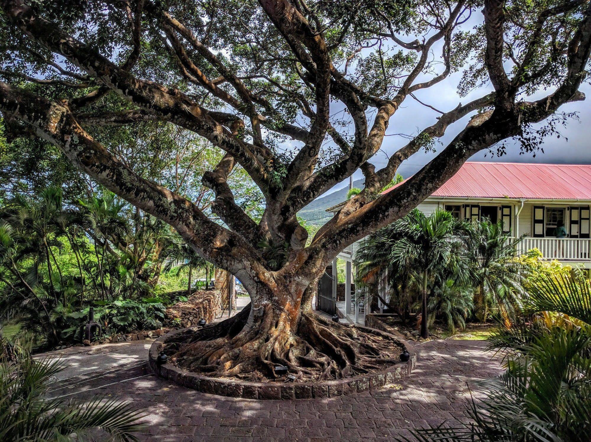 Montpelier Plantation & Beach Charlestown Exterior photo
